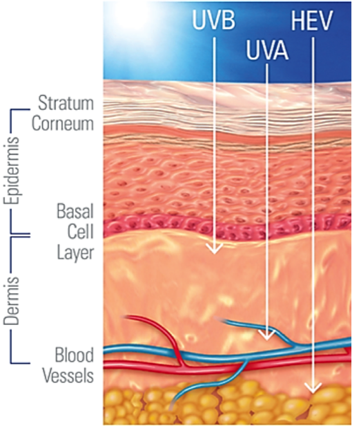 UVA-UVB-HEV