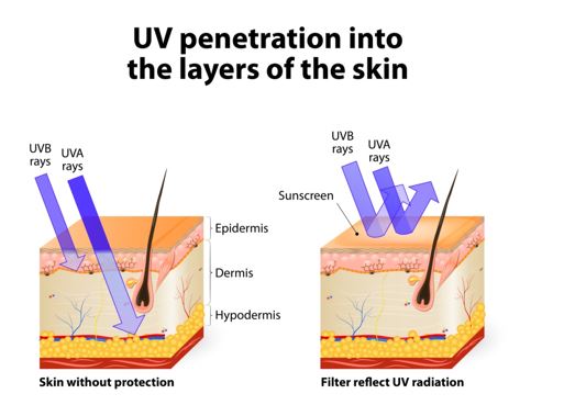 uv penetratie in de huid