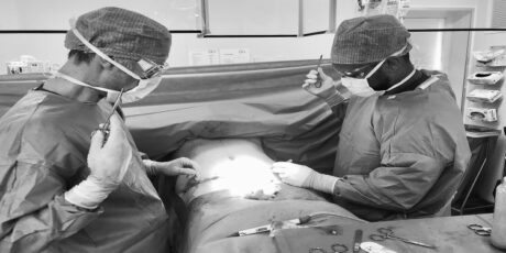 Video: buikwandcorrectie en lipofilling van borsten