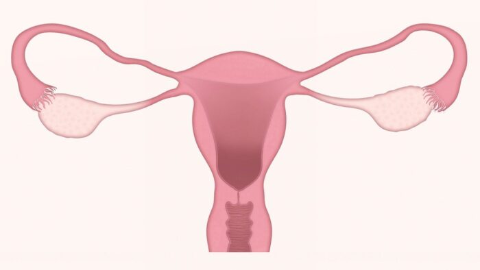 menopauze