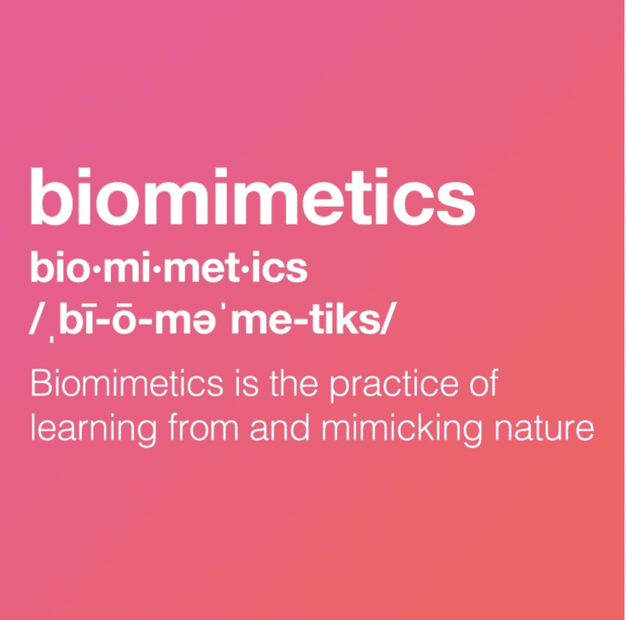 biomimetica