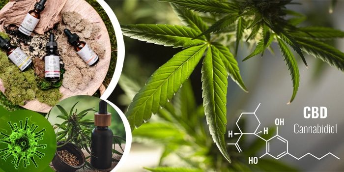 UA-CBD