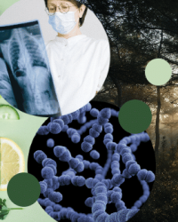 UA darmen microbioom