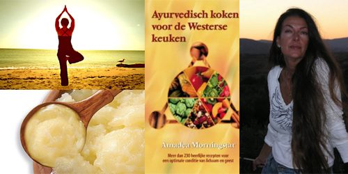ayurvedisch-koken-rona-review