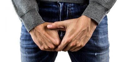 penis