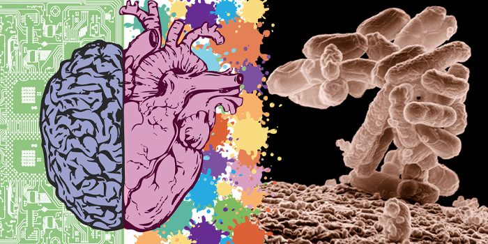 ua-hersenmicrobioom